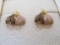 Black Hills Gold Filled Screwback Earrings