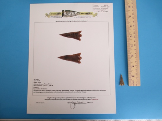 Perdiz Arrow Point