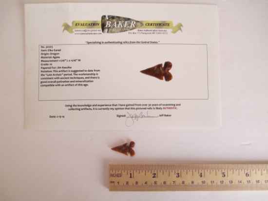 Elko Eared Arrow Point