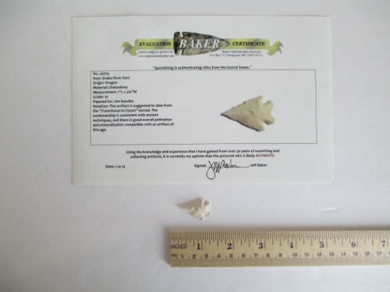 Snake River Dart Arrow Point