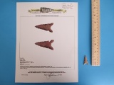 Toyah Arrow Point