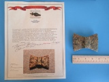 Late Archaic Wisconsin Winged/ Bowtie Bannerstone