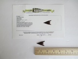 Gunther Barbed Arrow Point