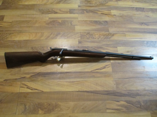 Remington Model 341 .22