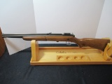 Crosman Vintage 
