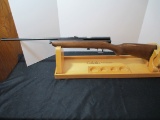 Crosman Vintage 