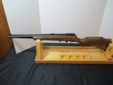 Crosman Vintage 
