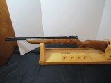 Crosman Vintage 