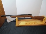 Crosman Vintage 