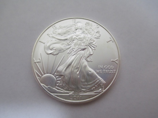 American Silver Eagle 1 Ounce Coin (2011)