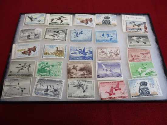 Great Lot of Duck Stamps-Lot of 25