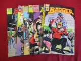 First Badger Comic Books-Lot of 7