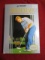 Nintendo Entertainment System Game w/ Box-Jack Nicklaus Championship Golf
