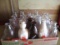 Massive Wisconsin Milk Bottle Lot (20)
