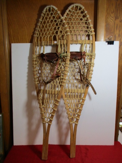 Swenson and Swenson Michigan Snow Shoes
