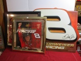 Dale Earnhardt Jr. Advertising Bundle