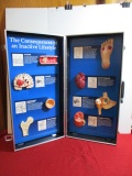 Health Eco Consequences of an Inactive Lifestyle Suitcase Style Display