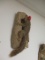 Taxidermy Squirrel Mount w/ Fire Helmet