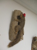 Taxidermy Squirrel Mount w/ Fire Helmet