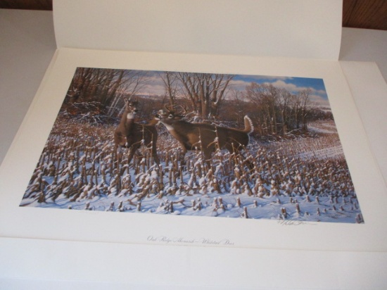 Mixed Owen Gromme/Michael Siev Wildlife Artwork