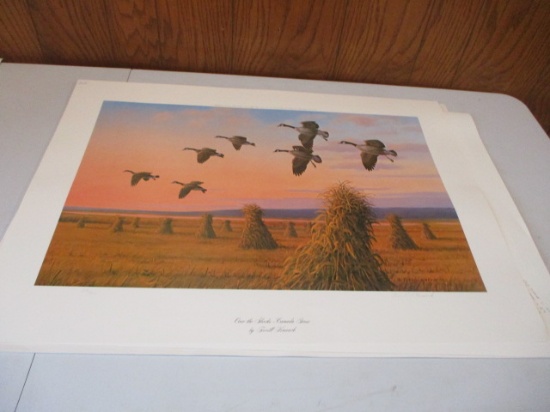 Mixed Unframed Wildlife Artwork