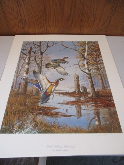David Maass Unframed Wildlife Art + Bonus Gary Moss Artwork