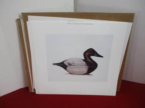 Unframed Wildlife Artwork by Leanoardeli-Lot of 8