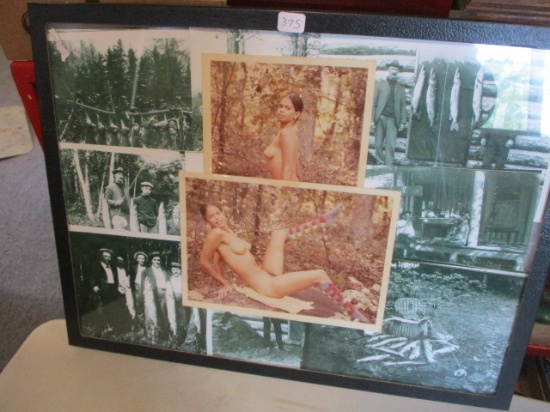 Wisconsin Wildlife Photos-Lot of 9