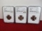 NGC 1962-1964 Graded Nickels