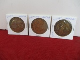 N.A.H.C Series 1 Wildlife Medallion Set-3 Medallions