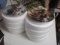 Wild Wings Mixed Artist Plate Collection