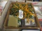Green Bay Packers Mixed Lot