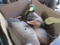 Box Full of Mixed Decoys w/ Three Motion Decoys