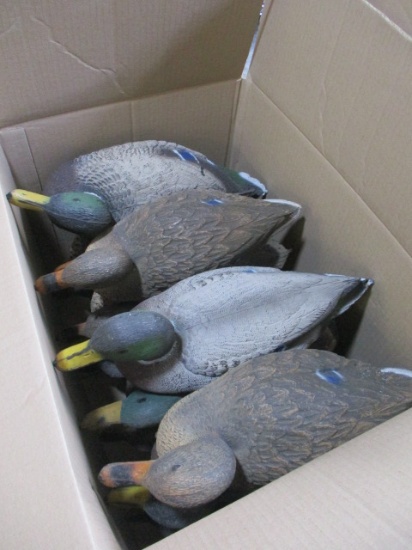Box Full of Mixed Mallard Decoys