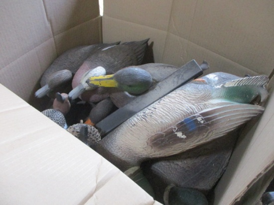 Box Full of Mixed Puddle Duck Decoys