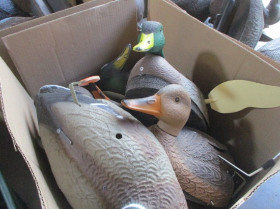 Box Full of Mixed Decoys w/ Three Motion Decoys