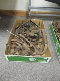 Victor Long Spring Traps