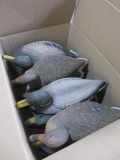 Box Full of Mixed Mallard Decoys