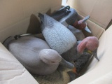 Box Full of Mixed Diver and Mixed Puddle Duck Decoys