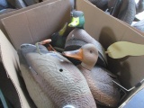 Box Full of Mixed Decoys w/ Three Motion Decoys