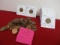Mixed Canadian Penny Lot-Starting at 1867