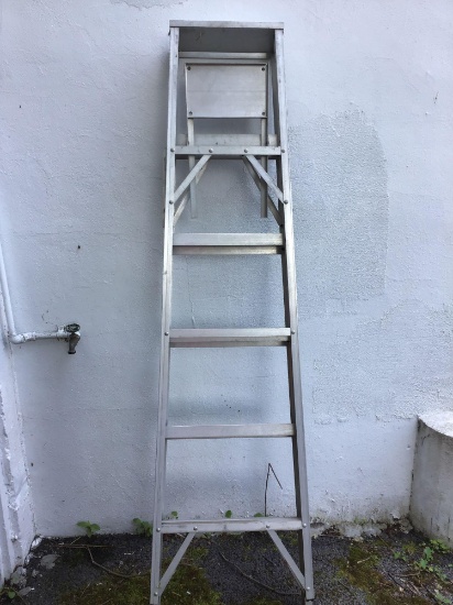 6 foot aluminum ladder