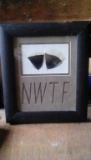 NWTF framed feathers 10 1/2