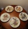 9 bird collector plates.  Tirschenreuth and one