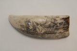 Reproduction Whales Tooth Scrimshaw Carved US Constitution Capturing the Frigat