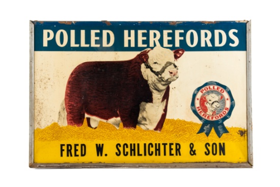 Polled Herefords Fred Schlichter Tin Sign
