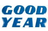 Goodyear Tires Porcelain Letters