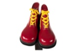 Ronald McDonald Clown Shoes 