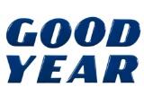 Goodyear Tires Porcelain Letters