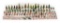 50+Bottle Brush Trees